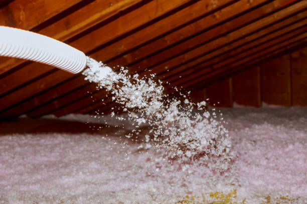 Best Insulation Maintenance and Repair in Sterling City, TX