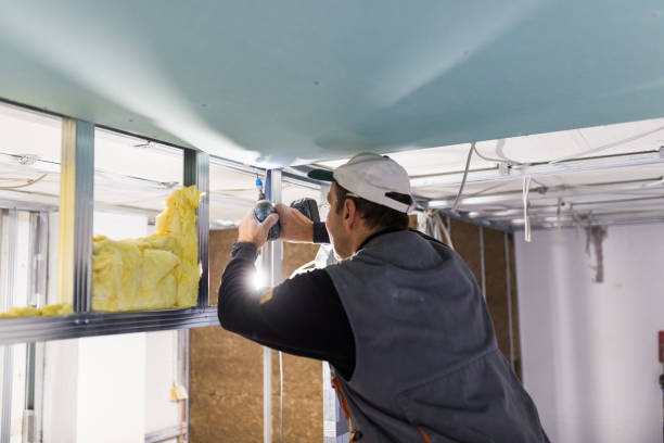 Best Spray Foam Insulation in Sterling City, TX