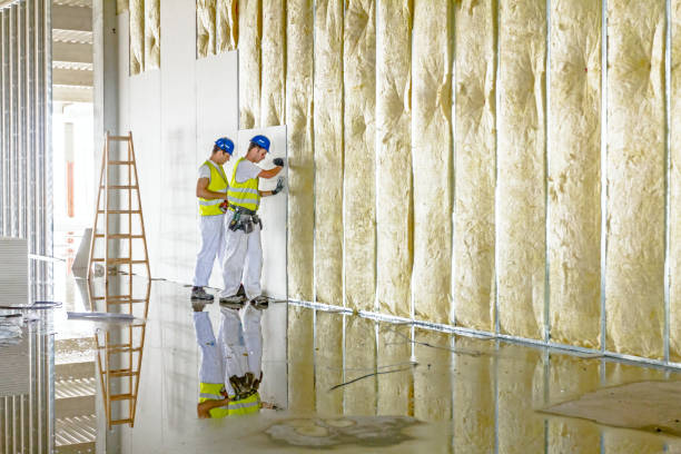 Types of Insulation We Offer in Sterling City, TX